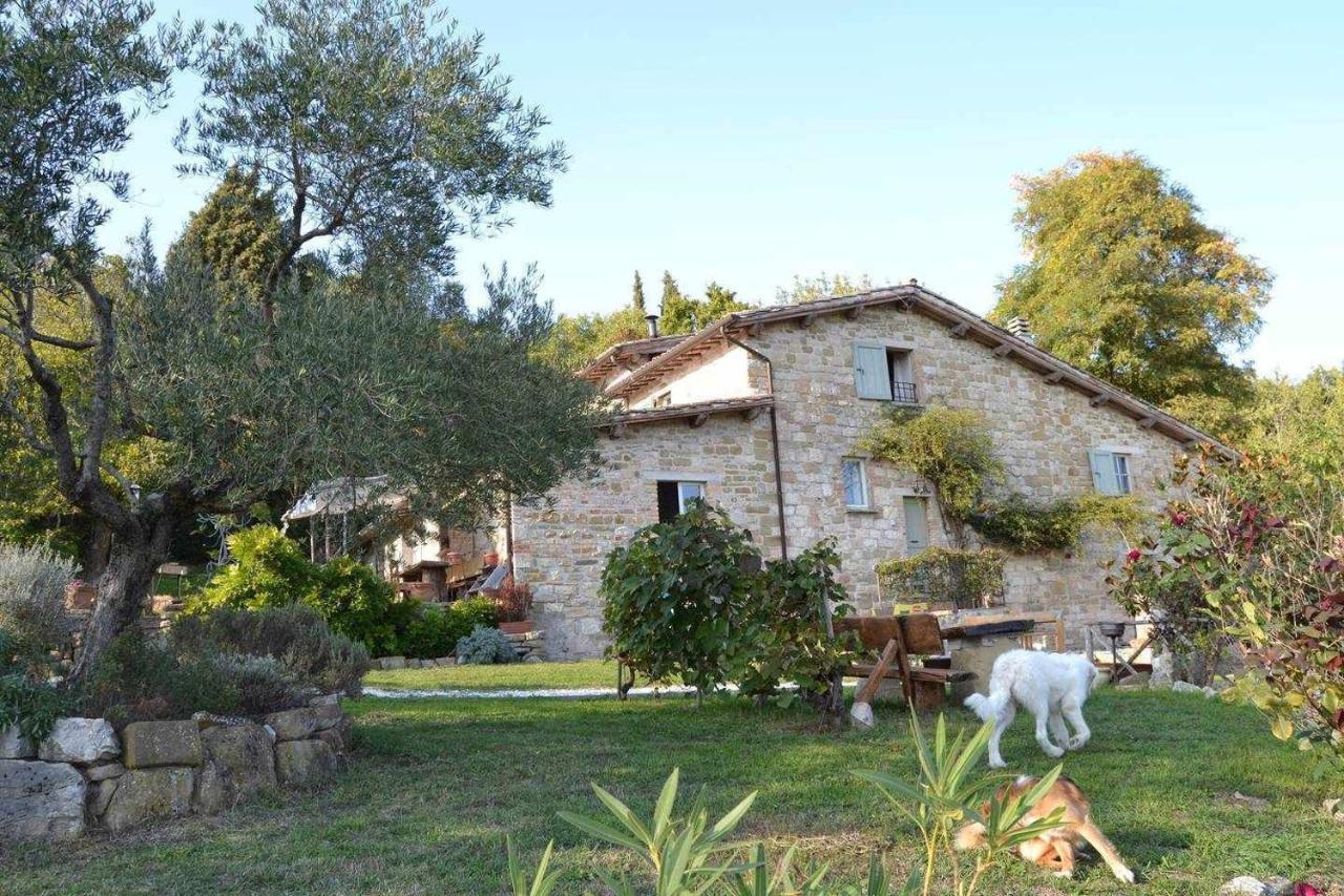 Agriturismo Montesalce Villa Gubbio Exterior foto